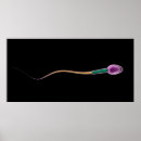 Search for fertile posters Sperm