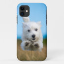 Search for west highland terrier dog iphone cases Pet