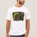 Search for bicolor tshirts Amphibian