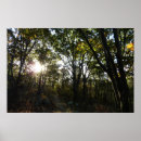 Search for shenandoah posters Nature