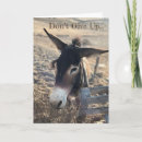 Search for keep it up cards Don't give up