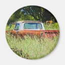 Search for pickup magnets Old