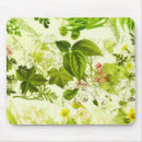 Search for colorful fall electronics Green