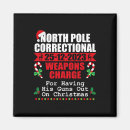 Search for north pole magnets Xmas