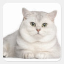 Search for year 2 stickers Cute