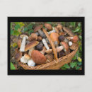 Search for edible postcards Fungi