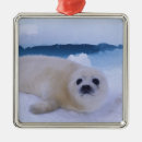 Search for arctic holiday christmas tree decorations Canada