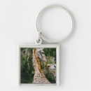 Search for giraffe pictures key rings Nature