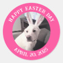 Search for pink bunny ears stickers Funny