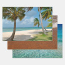 Search for beach scene wrapping paper Palm trees