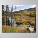 Search for provo posters Fall