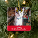 Search for hamster christmas tree decorations Dog