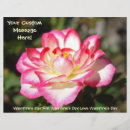 Search for valentines flyers Nature