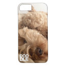 Search for goldendoodle iphone cases Pet