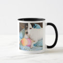 Search for front view mugs Horizontal