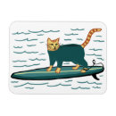 Search for kittis magnets Kitten