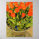 Search for flower festival posters Flowers