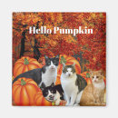 Search for pumpkin patch magnets Autumn