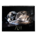 Search for great calendars Funny
