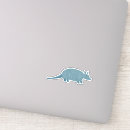 Search for armadillo Animal