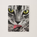 Search for grey cat puzzles Pet