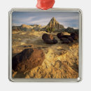 Search for reef christmas tree decorations Scenic