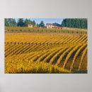 Search for pinot posters Agriculture