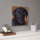 Search for black labrador clocks Puppy