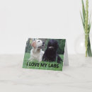 Search for chocolate labrador retriever cards Animal
