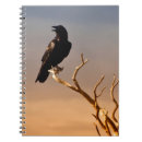Search for raven notebooks Tree