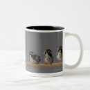 Search for baby chicken mugs Nature