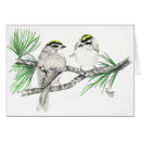 Search for kinglets Wildlife