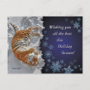 Search for snow tiger postcards Cat