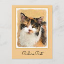 Search for calico postcards Orange