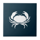 Search for kitchen backsplash tiles Modern