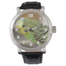 Search for kiwi watches Green