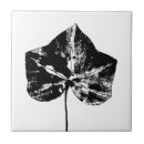 Search for ivy leaf tiles Nature