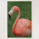 Search for wild bird puzzles Flamingo