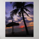 Search for canopy art Sky