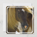Search for mustang invitations Wild horses