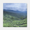Search for plantation magnets Agriculture