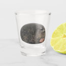 Search for meme shot glasses For him