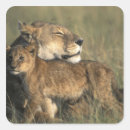 Search for masai mara stickers Plain