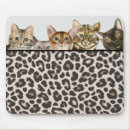 Search for leopards electronics Cats