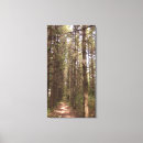 Search for wedding tree canvas prints Forest