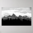 Search for tetons posters Forest