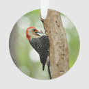Search for woodpecker christmas tree decorations Birds and blooms