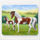 Search for pinto electronics Ranch
