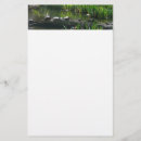 Search for turtle stationery paper Nature