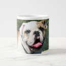 Search for hunde mugs Pet